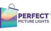 perfectpicturelights.com